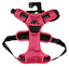 Bobby - Harnais Rando Walk Fuchsia pour Chiens - S Indicateur image numéro 1