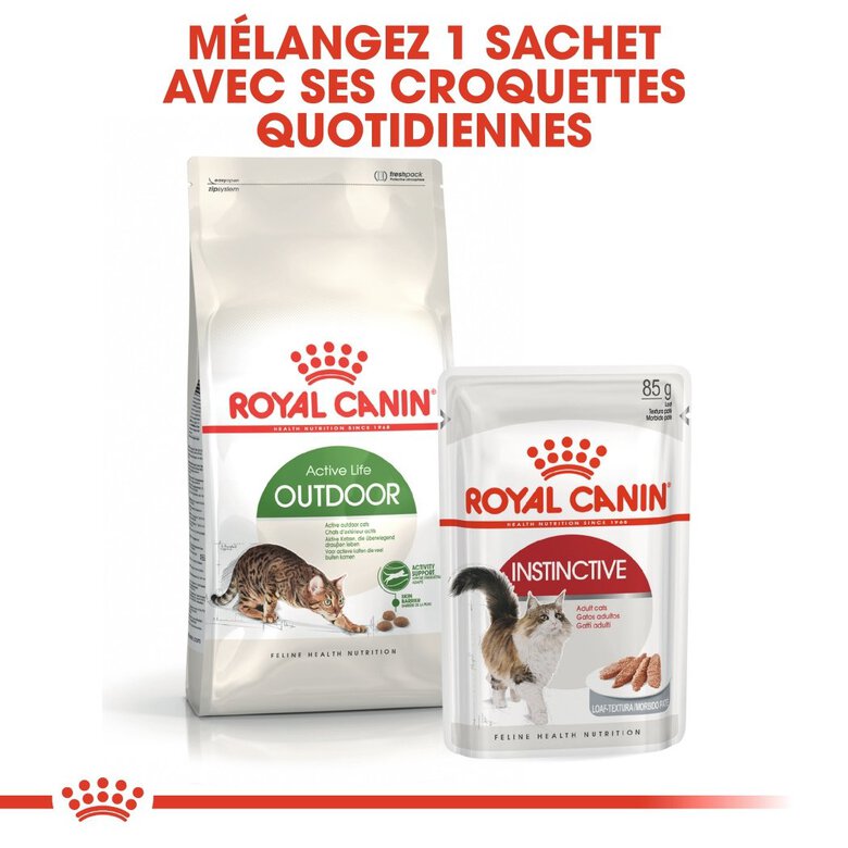Royal Canin - Croquettes Outdoor 30 pour Chat - 400g Image numéro 7 Royal Canin - Croquettes Outdoor 30 pour Chat - 400g Image numéro 7