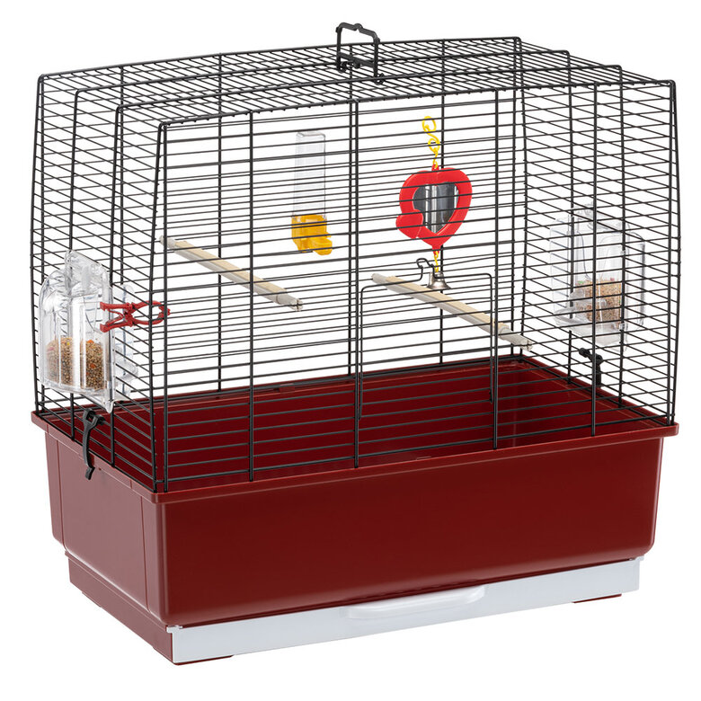 Ferplast - Cage Rekord 3 pour Oiseaux Exotique - Noir/Rouge Image numéro 1 Ferplast - Cage Rekord 3 pour Oiseaux Exotique - Noir/Rouge Image numéro 1