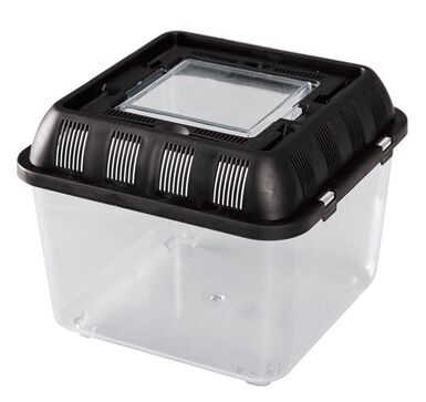 Reptizoo - Boîte de Transport pour Reptiles - 20,5x20,5x17cm