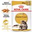 Royal Canin - Sachets Maine Coon en Sauce pour Chat - 12x85g Indicateur image numéro 2