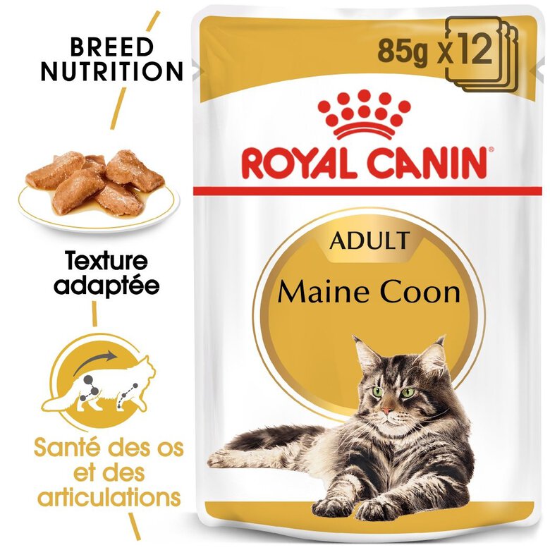 Royal Canin - Sachets Maine Coon en Sauce pour Chat - 12x85g Image numéro 2 Royal Canin - Sachets Maine Coon en Sauce pour Chat - 12x85g Image numéro 2
