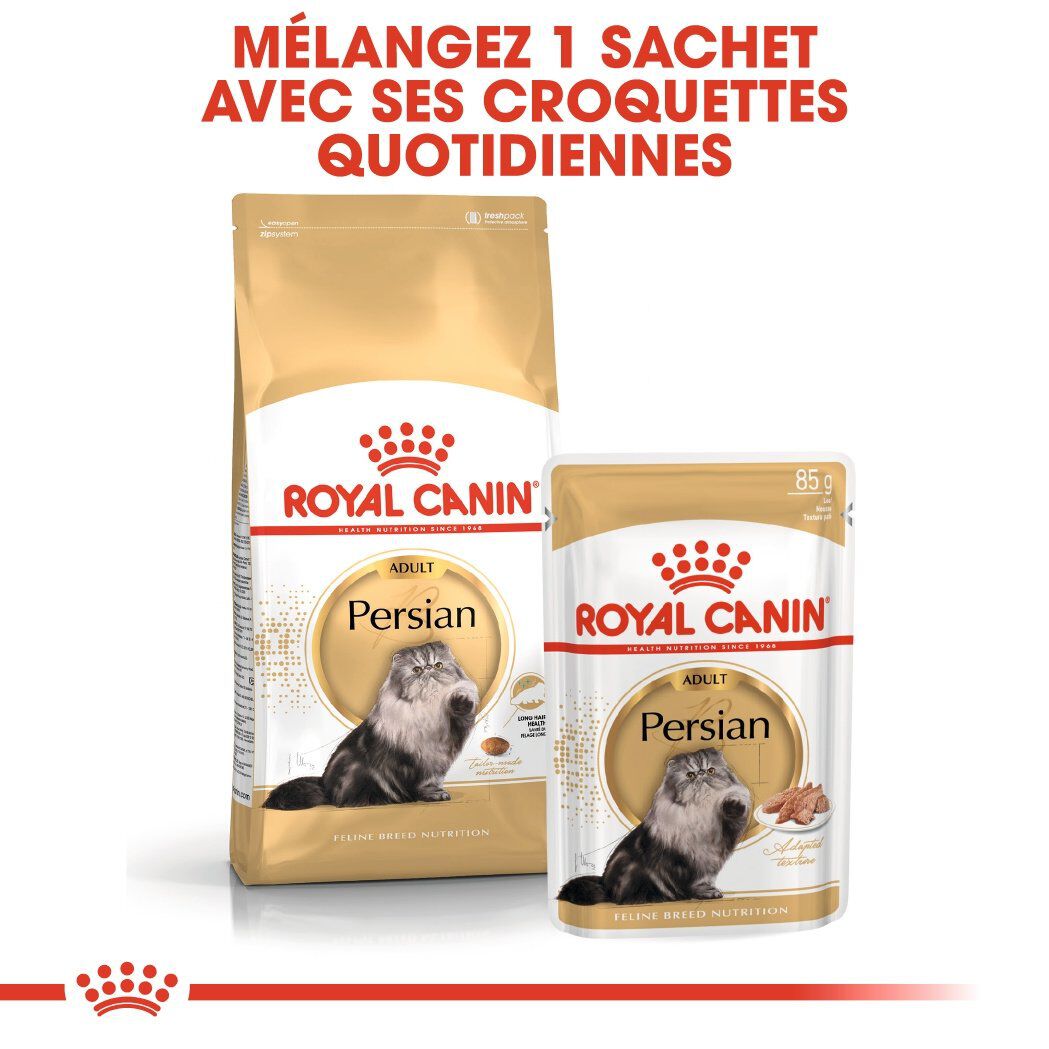 Royal Canin - Croquettes Persian pour Chat Adulte &agrave; partir de 12 Mois - 4Kg Image num&eacute;ro 6