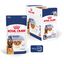 Royal Canin - Sachet Fraicheur Maxi Adult En Sauce Pour Chien De Grandes Races - 10x140g Indicateur image numéro 3