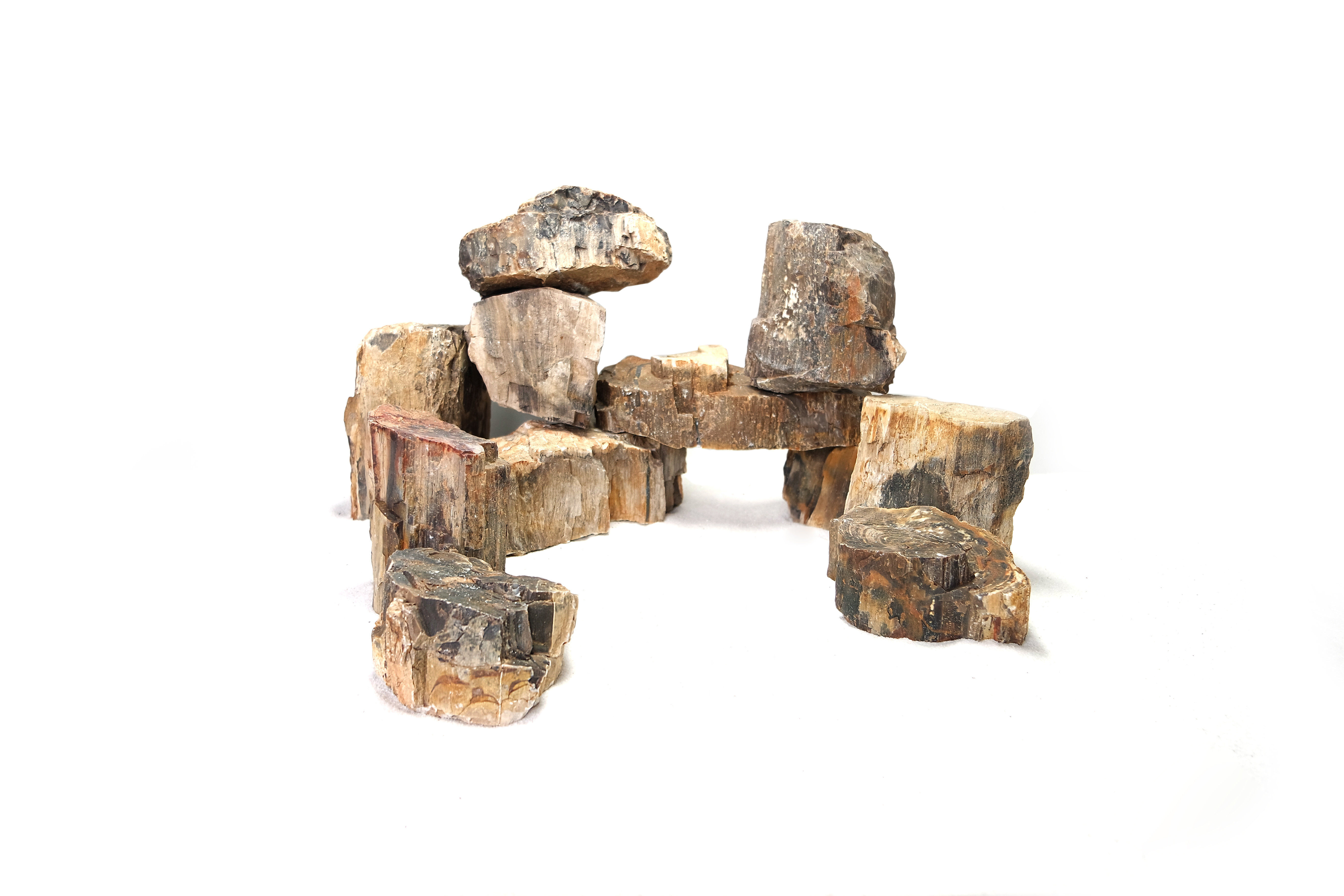 Reptiles Planet - D&eacute;coration Pierre Wood Fossil pour Aquarium et Terrarium - M Image num&eacute;ro 1