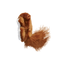 KONG - Jouet Refillables Squirrel pour Chats Indicateur image numéro 2