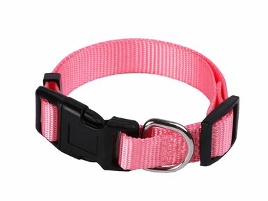 Animalis - Collier Basic 15mm et 25/40cm pour Chien - Rose