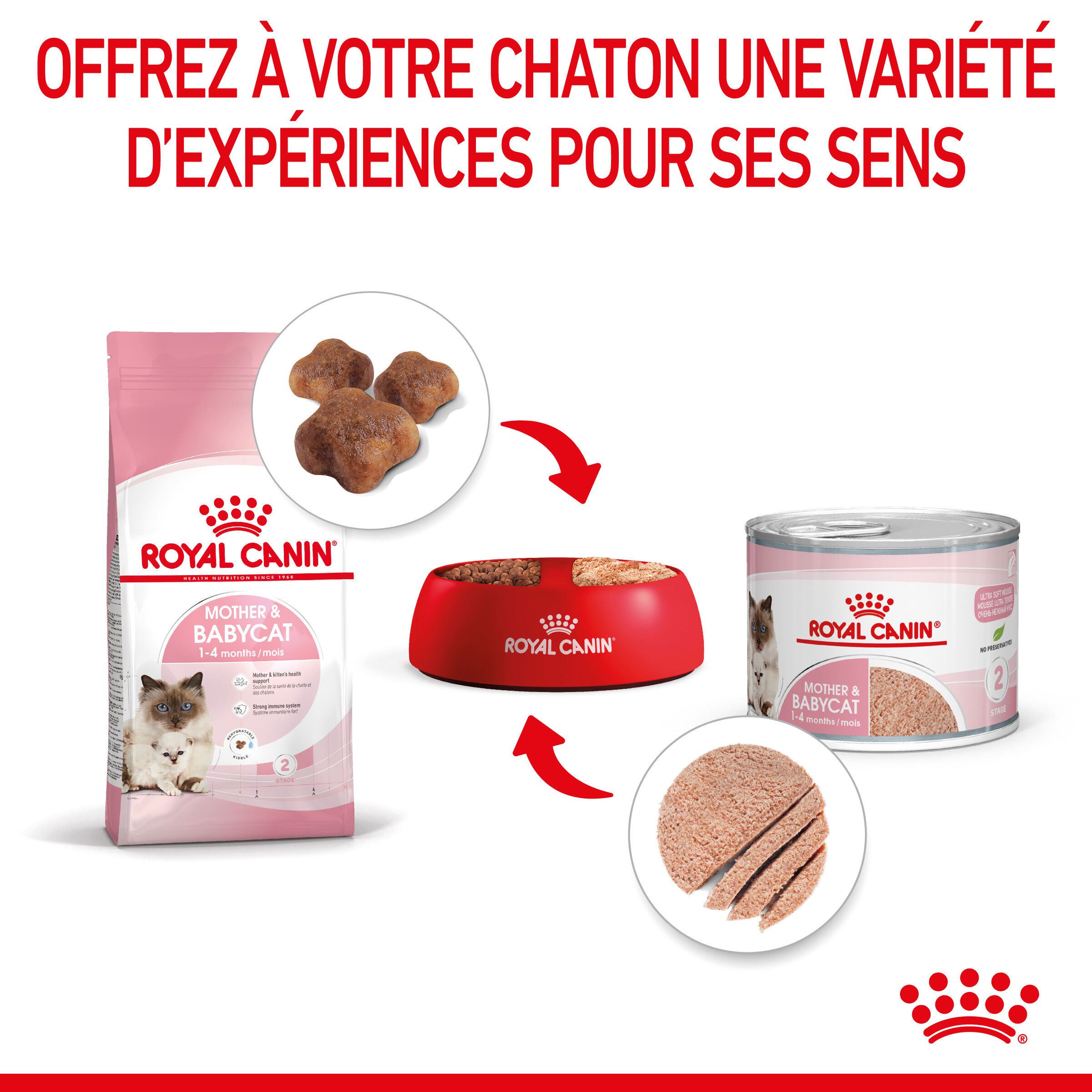 Royal Canin - P&acirc;t&eacute;e en Mousse Mother & Babycat pour Chatons - 12x195g Image num&eacute;ro 6