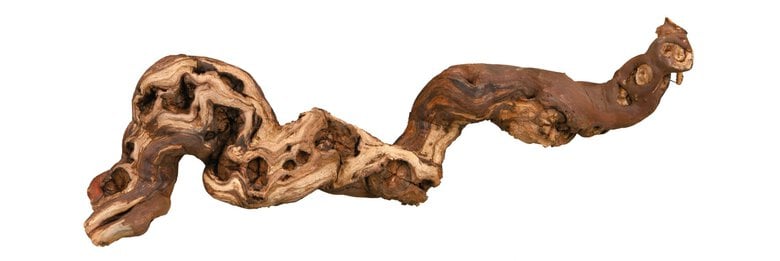 Trixie - Branche Pied de Vigne Naturelle pour Terrarium - M Image numéro 1 Trixie - Branche Pied de Vigne Naturelle pour Terrarium - M Image numéro 1