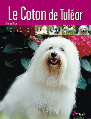Artémis - Le Coton de Tuléar