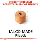 Royal Canin - Croquettes Labrador Adult pour Chiens - 3Kg image number null