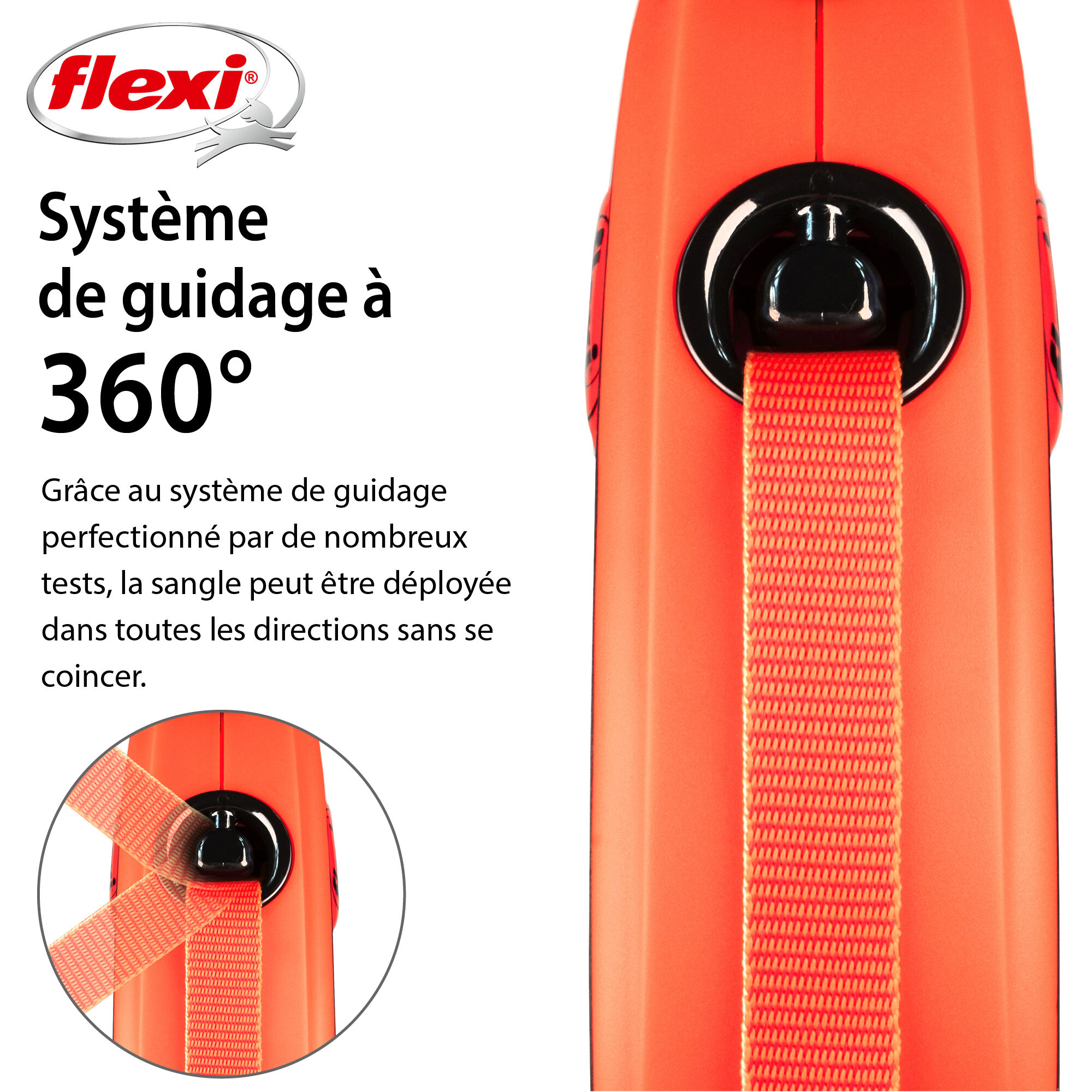 Flexi - Laisse A Enrouleur Xtreme Sangle pour Chien - M Image num&eacute;ro 2