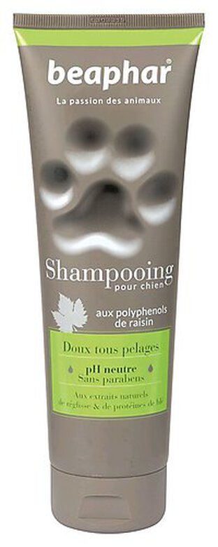 Beaphar - Shampoing Doux Tous Pelages pour Chiens - 250ml image number null
