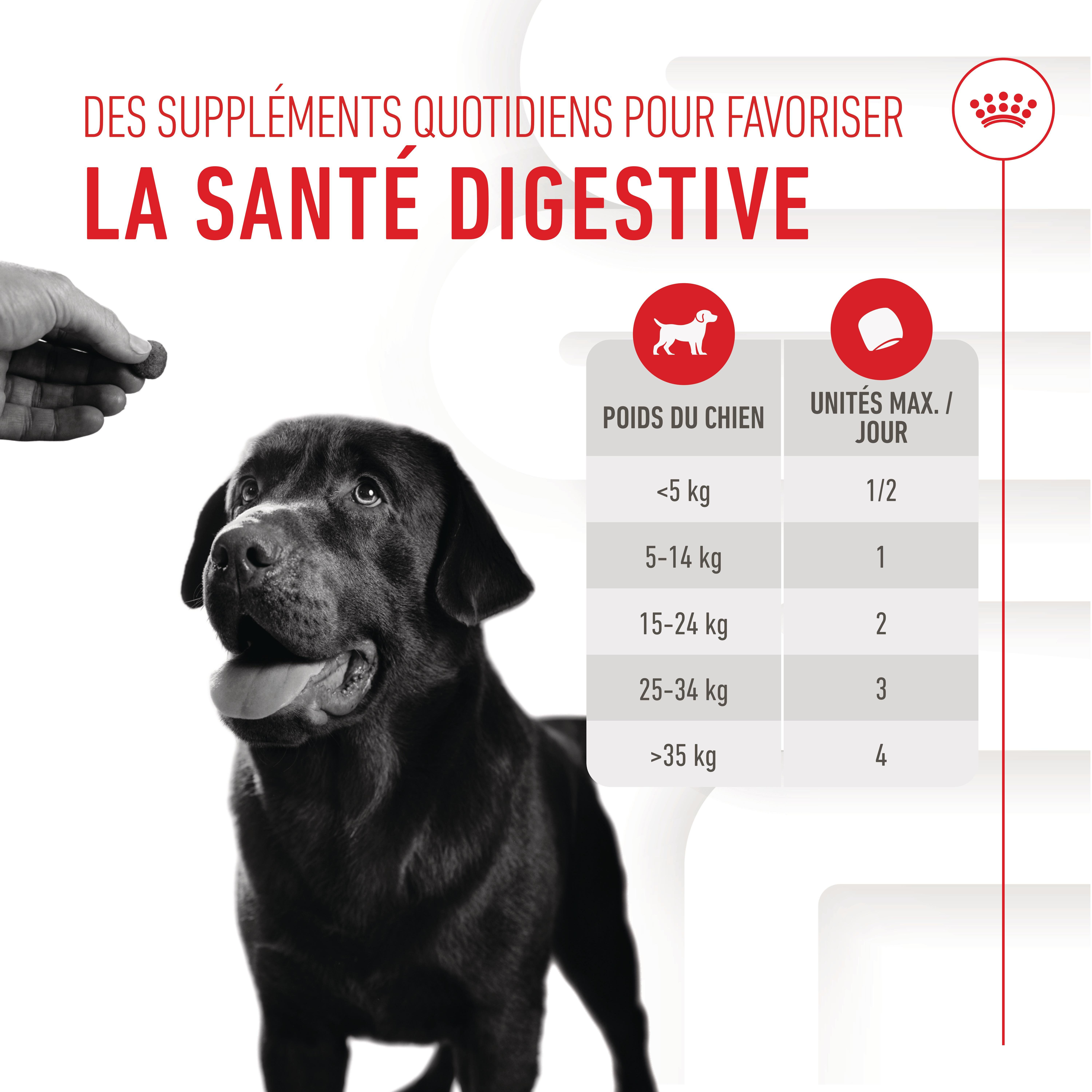 Royal Canin - Aliment Compl&eacute;mentaire Adult Digestion Chews pour Chiens - 160g Image num&eacute;ro 6
