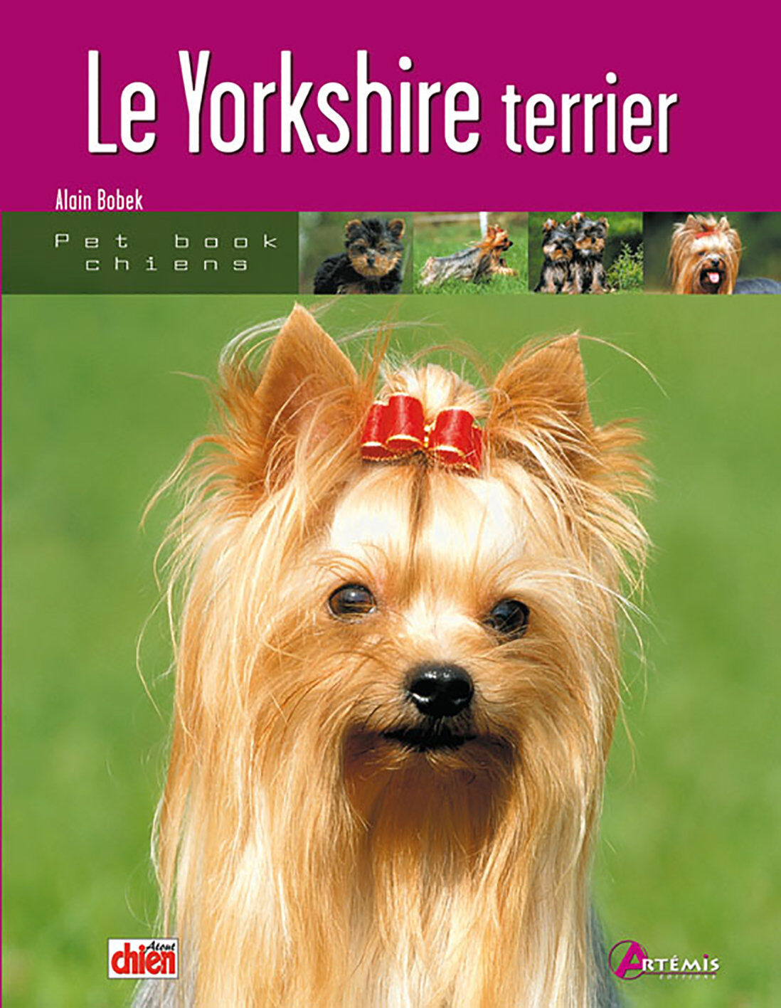 Art&eacute;mis - Le Yorkshire Terrier Image num&eacute;ro 1