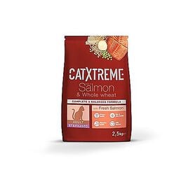 CatXtreme - Croquettes Adult Sterilised au Saumon Frais pour Chat