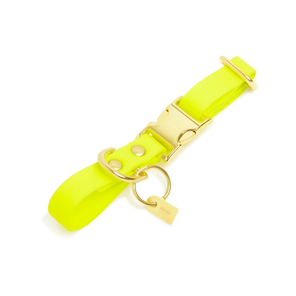 Pop Dog - Collier Joyeux Jaune pour Chien - S Image num&eacute;ro 1