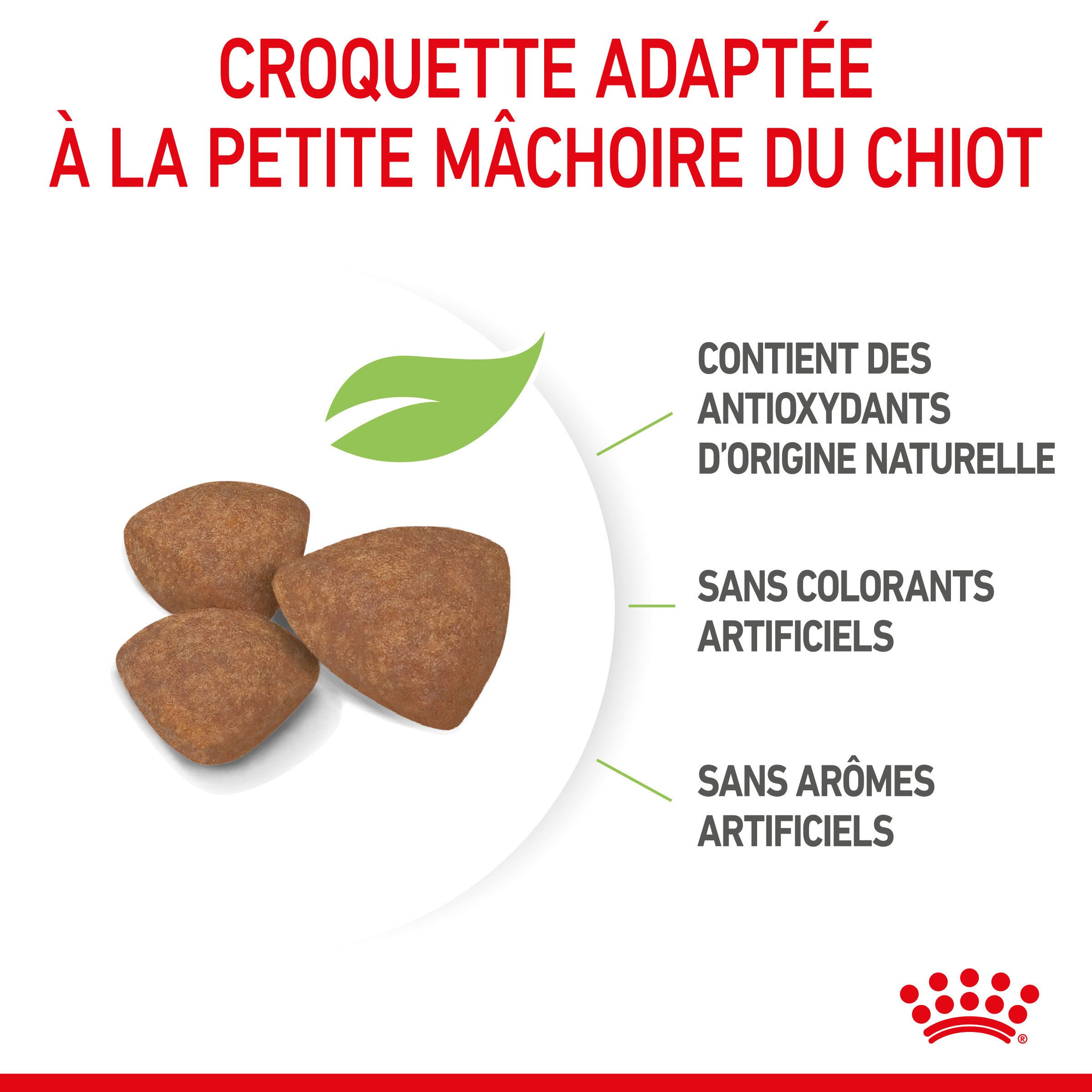Royal Canin - Croquettes Mini Puppy pour Chiot - 8Kg Image num&eacute;ro 5