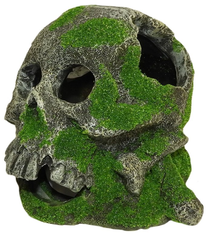 Tyrol - Décorations Pirates et Têtes de Mort pour Aquarium - 12cm Image numéro 3 Tyrol - Décorations Pirates et Têtes de Mort pour Aquarium - 12cm Image numéro 3