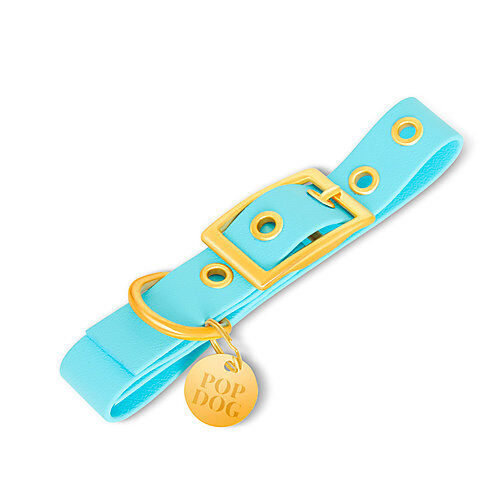 Pop Dog - Collier A  1/4 Illet Dragueur Bleu pour Chien - XS Image num&eacute;ro 1