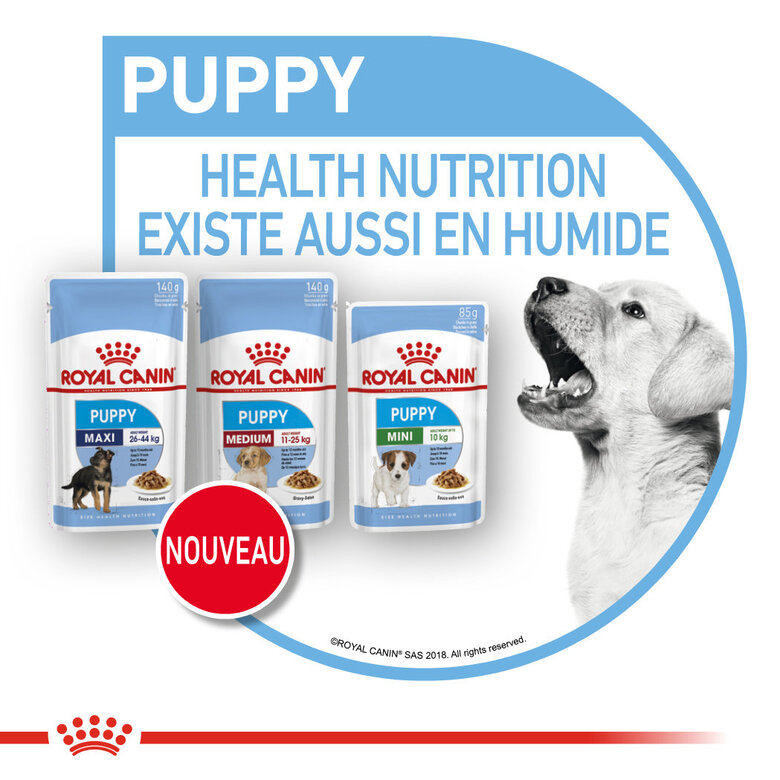 Royal Canin - Sachets Mini Puppy en Sauce pour Chiot - 12X85g Image numéro 3 Royal Canin - Sachets Mini Puppy en Sauce pour Chiot - 12X85g Image numéro 3