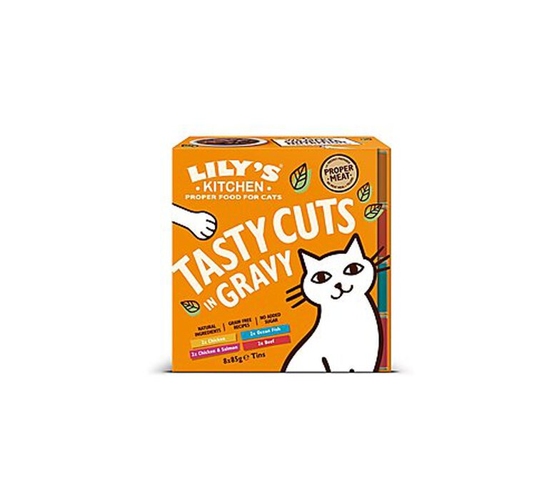 Lily's Kitchen - Multipack Bouchées en Sauce Tasty Cuts pour Chat - 8x85g image number null