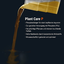 Dennerle - Engrais de Phosphate Plant Care P Indicateur image numéro 5