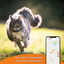Weenect - Traceur GPS XS Edition 2023 pour Chats - Noir Indicateur image numéro 4