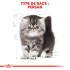 Royal Canin - Croquettes Persian Kitten pour Chatons - 2Kg image number null