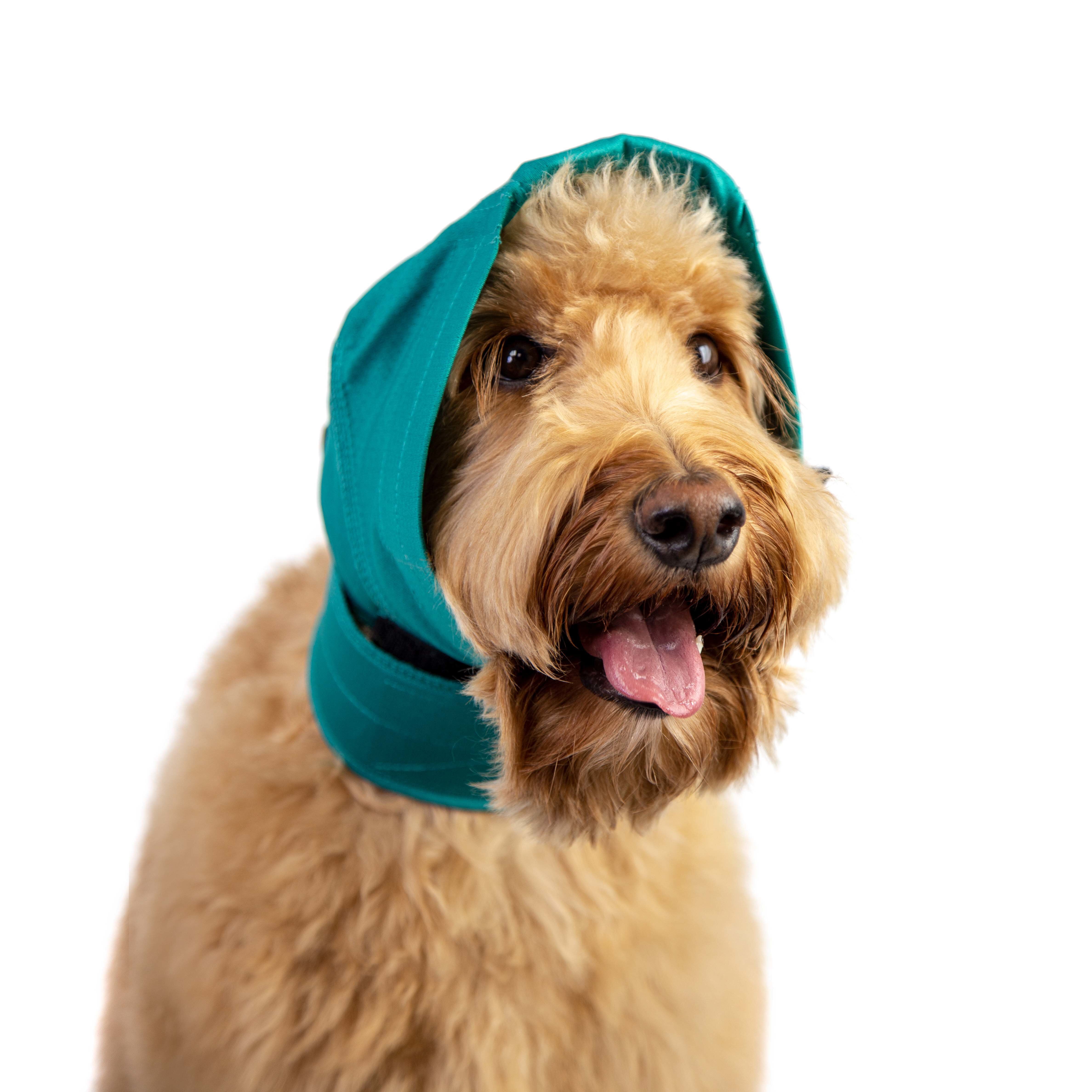 No Flap - Bandage Protection Oreilles pour Chiens - XS Image num&eacute;ro 1