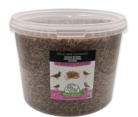 Octave Bauchant - Vers de farine Oiseaux du ciel en Seau - 2Kg