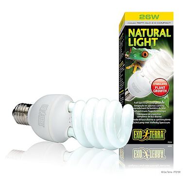 Exo Terra - Ampoule Natural Light Fluocompact pour Terrarium - 26W