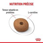 Royal Canin - Croquettes Medium Light Weight Care pour Chien - 3Kg image number null