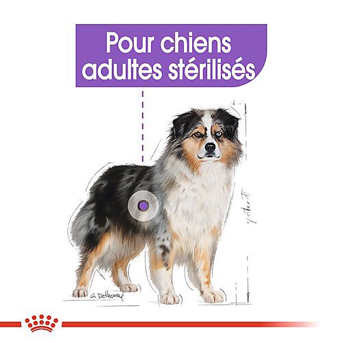 Royal Canin - Croquettes Medium Sterilised pour Chien St&eacute;rilis&eacute; - 3Kg Image num&eacute;ro 3