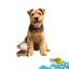 Summer Vibes - Peluche Singe Dolce Vita pour Chiens - 27cm Indicateur image num&eacute;ro 1