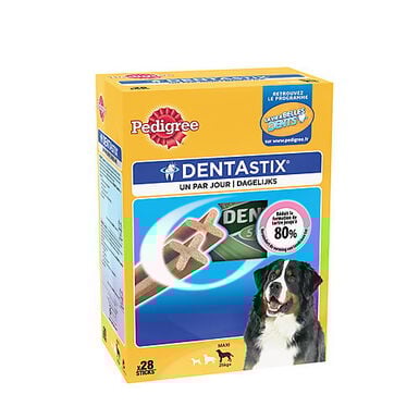 Pedigree - Friandises Dentastix pour Chien de Grande Taille - x28