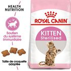 Royal Canin - Croquettes Kitten Sterilised pour Chaton - 400g image number null