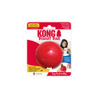 KONG - Jouet Balle pour Chien - S image number null