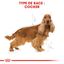 Royal Canin - Croquettes Cocker pour Chien Adulte - 3Kg Indicateur image numéro 2