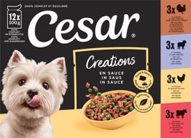 Cesar - P&acirc;t&eacute;e en Sauce 4 Vari&eacute;t&eacute;es Viandes et L&eacute;gumes pour Chiens - 12x100g