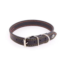 Martin Sellier - Collier Flash Noir/Orange pour Chiens