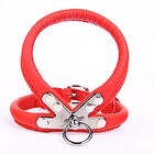 Yogipet - Harnais Cuir pour Chien - Rouge image number null