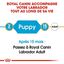 Royal Canin - Croquettes Labrador Junior pour Chiot - 12Kg Indicateur image numéro 3