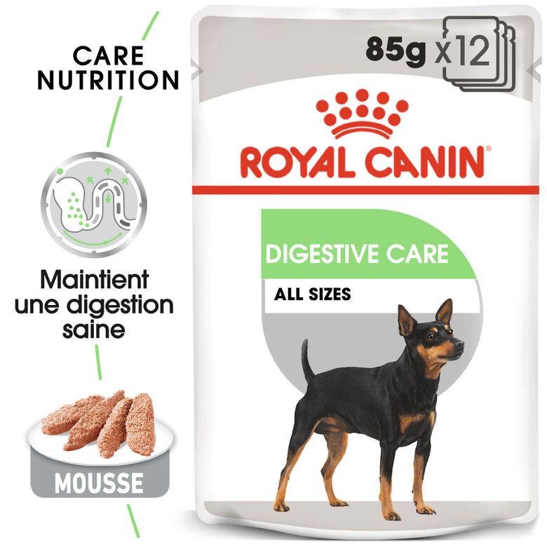 Royal Canin - Sachets Digestive Care en Mousse pour Chien - 12X85g Image numéro 1 Royal Canin - Sachets Digestive Care en Mousse pour Chien - 12X85g Image numéro 1