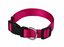 Animalis - Collier Basic Fuchsia pour Chien - 15mm et 25/40cm Indicateur image numéro 1