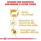 Royal Canin - Croquettes Maltese Adult Bichon Maltais pour Chiens - 1,5Kg image number null