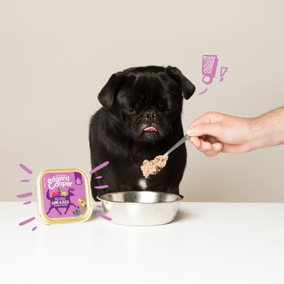 Edgard & Cooper - Barquette au Gibier et Canard pour Chien - 150g Image num&eacute;ro 3