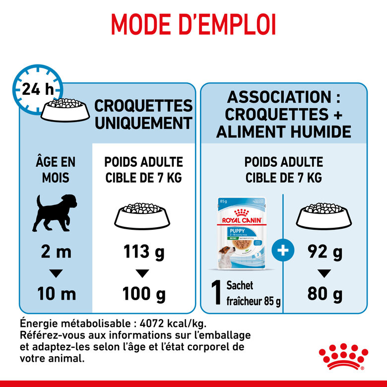 Royal Canin - Croquettes Mini Puppy pour Chiot - 2Kg Image numéro 7 Royal Canin - Croquettes Mini Puppy pour Chiot - 2Kg Image numéro 7