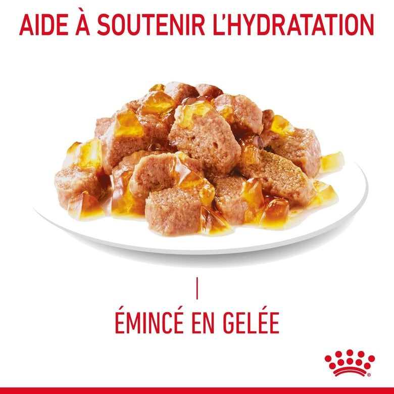 ROYAL CANIN - SACHET FRAICHEUR HAIRBALL EN GELEE CHAT ADULTE REDUCTION DES BOULES DE POILS - 12x85g Image numéro 5 ROYAL CANIN - SACHET FRAICHEUR HAIRBALL EN GELEE CHAT ADULTE REDUCTION DES BOULES DE POILS - 12x85g Image numéro 5