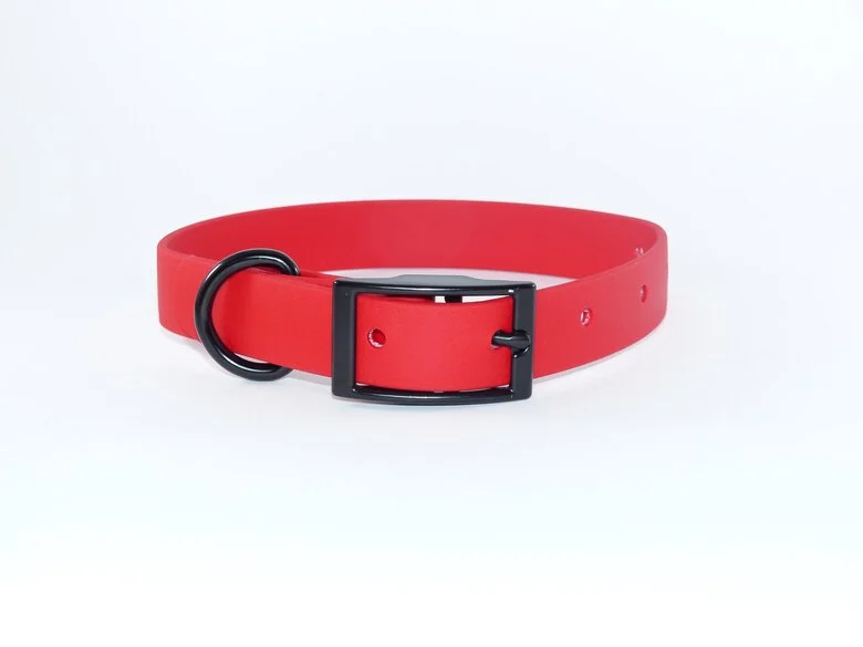 Ekys - Collier Biothane 18mm pour Chien - Rouge Image numéro 1 Ekys - Collier Biothane 18mm pour Chien - Rouge Image numéro 1